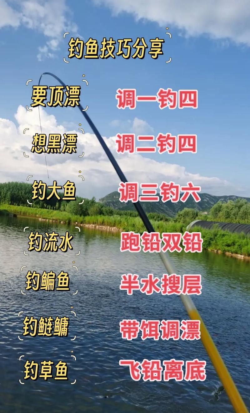 南屏山龍魚釣魚技巧（南屏山龍魚釣魚技巧摘要：南屏山龍魚釣魚技巧和知識雷龍魚怎么釣）