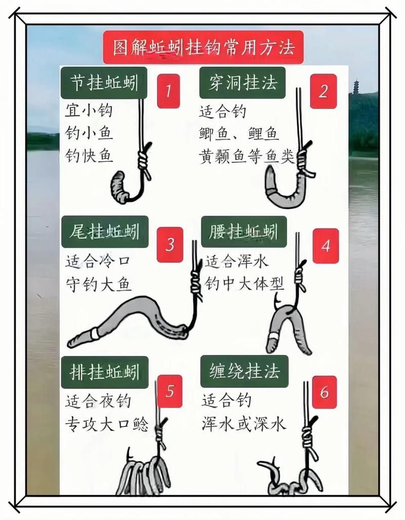 南屏山龍魚釣魚技巧（南屏山龍魚釣魚技巧摘要：南屏山龍魚釣魚技巧和知識雷龍魚怎么釣）