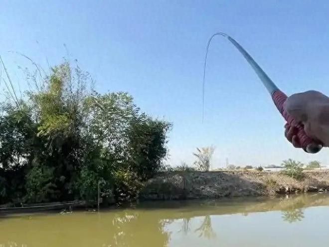 南屏山龍魚釣魚技巧（南屏山龍魚釣魚技巧摘要：南屏山龍魚釣魚技巧和知識雷龍魚怎么釣）