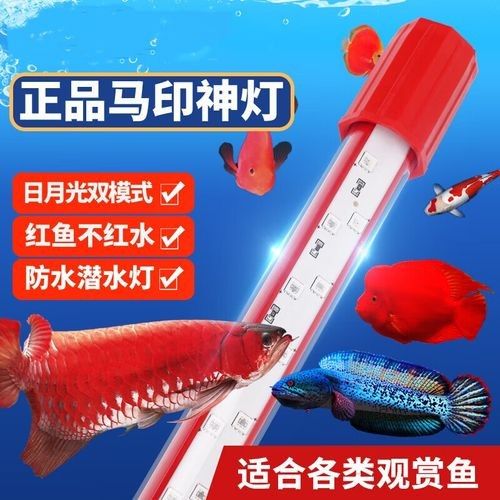 馬印龍魚燈哪個系列最好（馬印神燈龍魚燈專用水族箱燈三基色增色燈水草魚缸燈led燈防水）