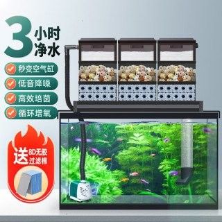 BoxTech有哪些型號推薦？（boxtech便攜式充電寶、充電寶、充電寶哪個好？） BoxTech有哪些型號推薦？（boxtech便攜式充電寶、充電寶、充電寶哪個好？） 龍魚百科 第2張