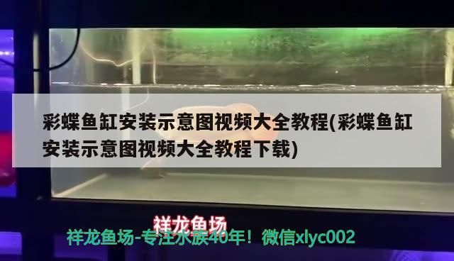 彩蝶魚缸安裝示意圖視頻大全教程(彩蝶魚缸安裝示意圖視頻大全教程下載)（彩蝶魚缸安裝示意圖視頻大全）