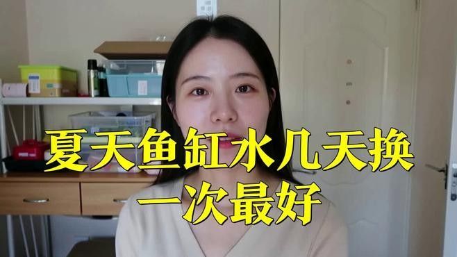 夏季換水如何控制溫差？（夏季如何控制換水時的溫差） 夏季換水如何控制溫差？（夏季如何控制換水時的溫差） 龍魚百科 第3張