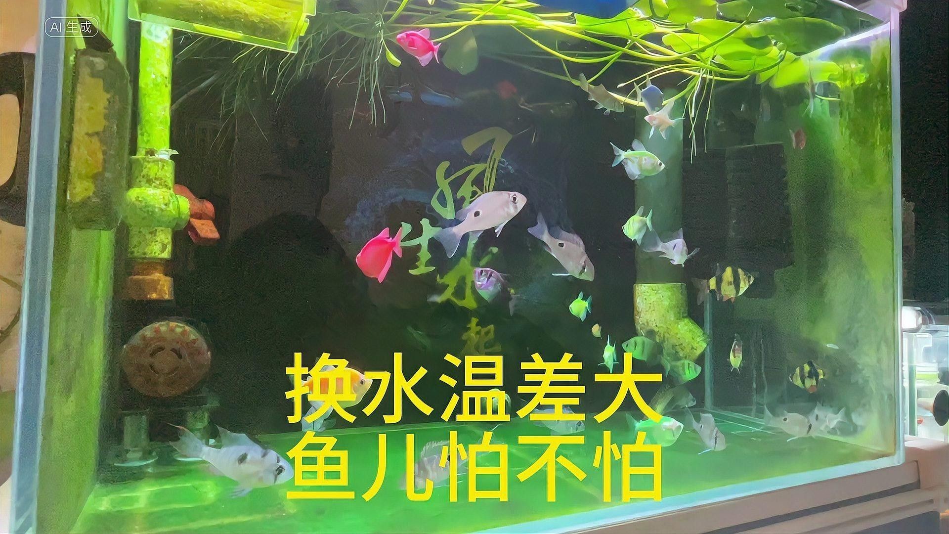 夏季換水如何控制溫差？（夏季如何控制換水時的溫差） 夏季換水如何控制溫差？（夏季如何控制換水時的溫差） 龍魚百科 第1張