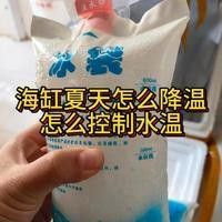夏季換水如何控制溫差？（夏季如何控制換水時的溫差） 夏季換水如何控制溫差？（夏季如何控制換水時的溫差） 龍魚百科 第11張