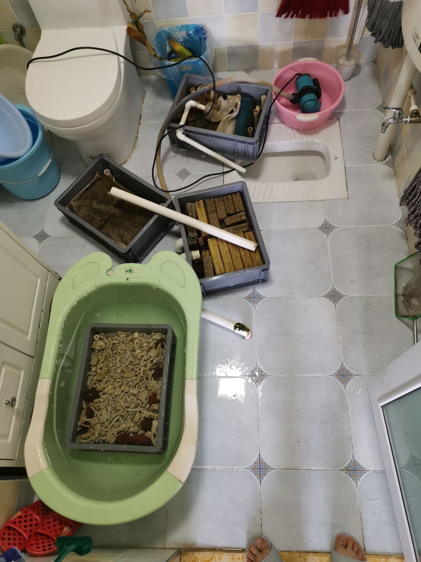 邵陽觀賞魚市場今年最后一個缸（【邵陽觀賞魚市場今年最后一個缸】） 邵陽觀賞魚市場今年最后一個缸（【邵陽觀賞魚市場今年最后一個缸】） 觀賞魚百科 第3張