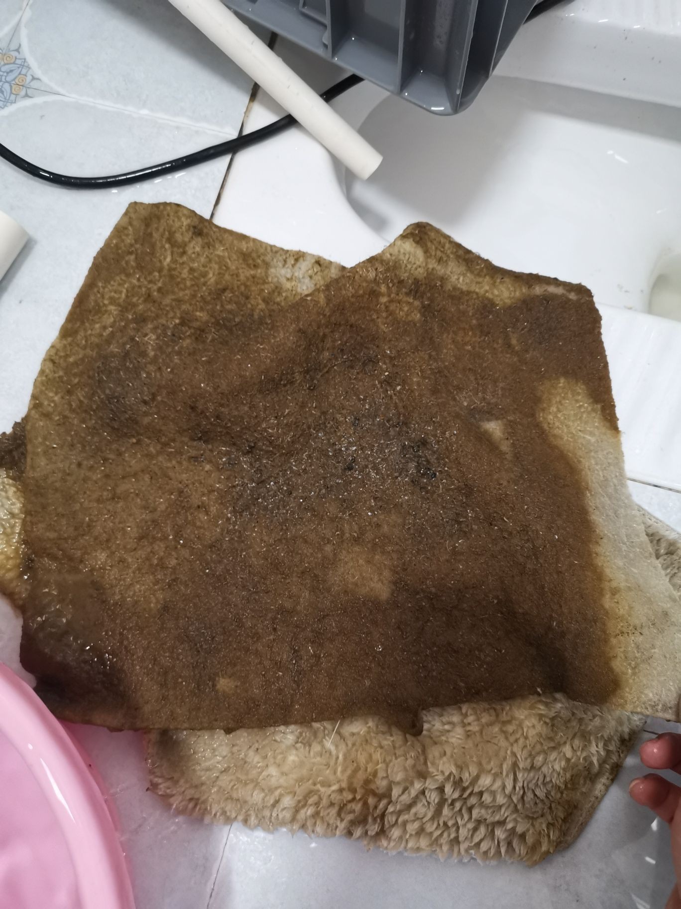 邵陽觀賞魚市場今年最后一個缸（【邵陽觀賞魚市場今年最后一個缸】） 邵陽觀賞魚市場今年最后一個缸（【邵陽觀賞魚市場今年最后一個缸】） 觀賞魚百科 第5張