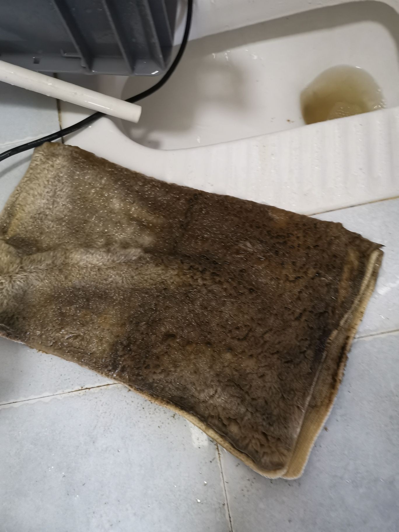 邵陽觀賞魚市場今年最后一個缸（【邵陽觀賞魚市場今年最后一個缸】） 邵陽觀賞魚市場今年最后一個缸（【邵陽觀賞魚市場今年最后一個缸】） 觀賞魚百科 第6張