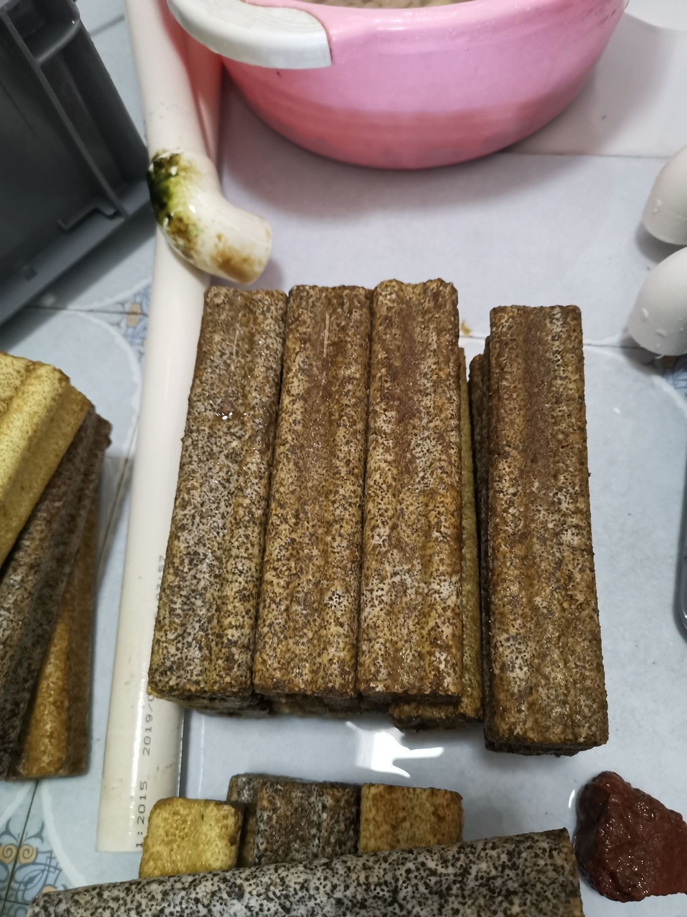 邵陽觀賞魚市場今年最后一個缸（【邵陽觀賞魚市場今年最后一個缸】） 邵陽觀賞魚市場今年最后一個缸（【邵陽觀賞魚市場今年最后一個缸】） 觀賞魚百科 第7張