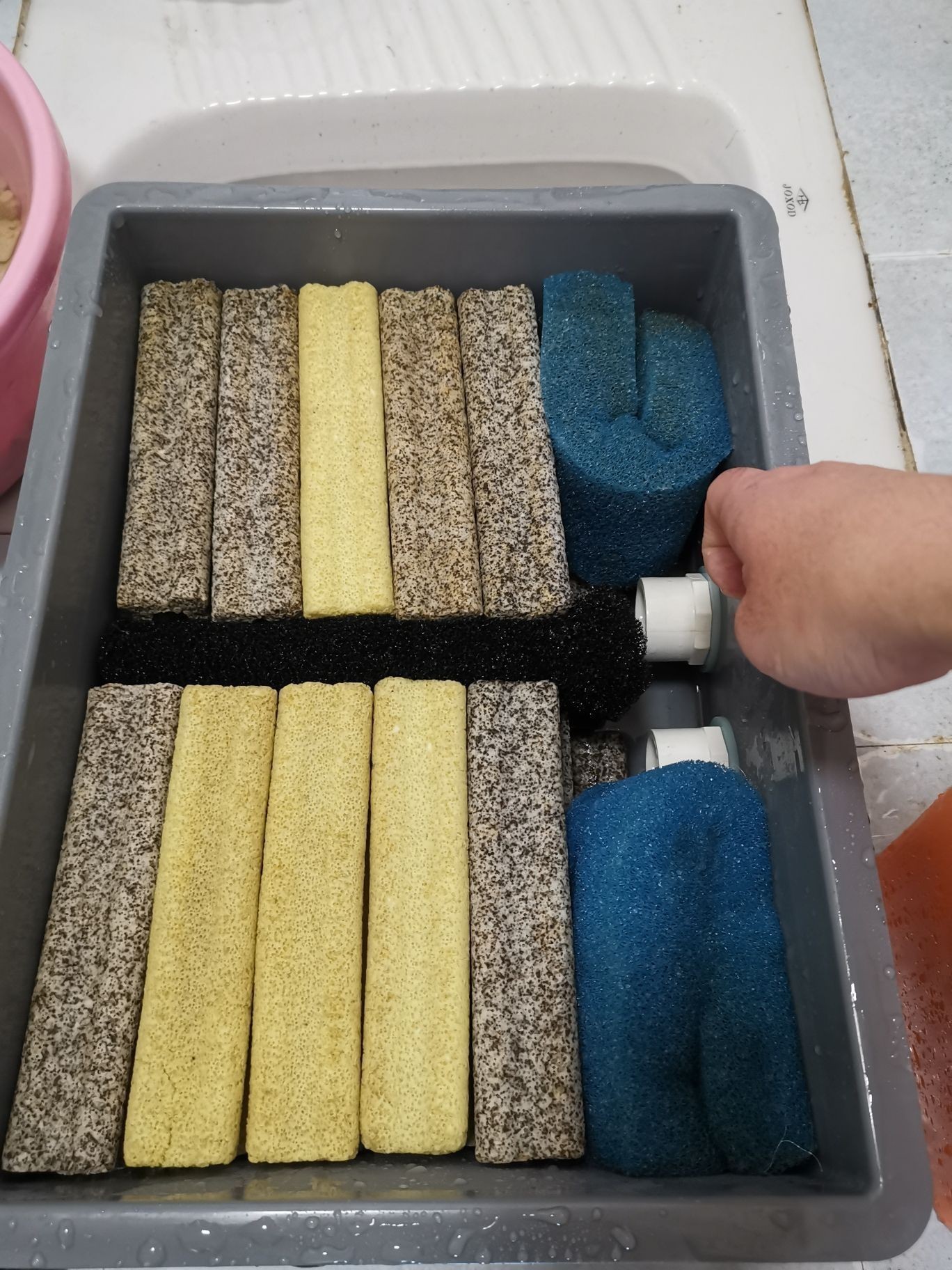 邵陽觀賞魚市場今年最后一個缸（【邵陽觀賞魚市場今年最后一個缸】） 邵陽觀賞魚市場今年最后一個缸（【邵陽觀賞魚市場今年最后一個缸】） 觀賞魚百科 第14張