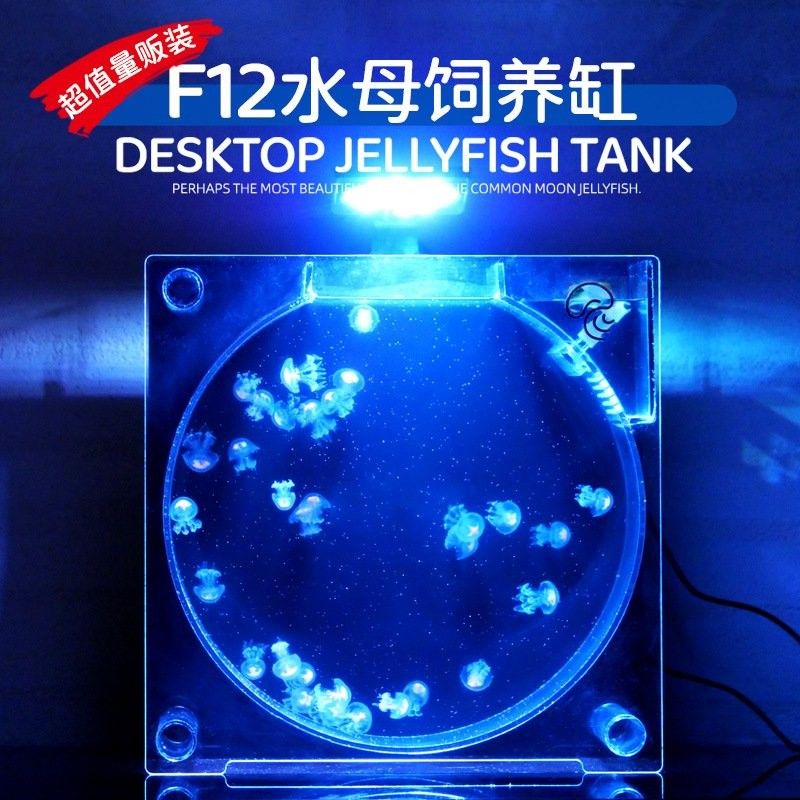 還有哪些地方可以定做魚缸（<strong><mark>北京</mark></strong>哪里可以定制魚缸）