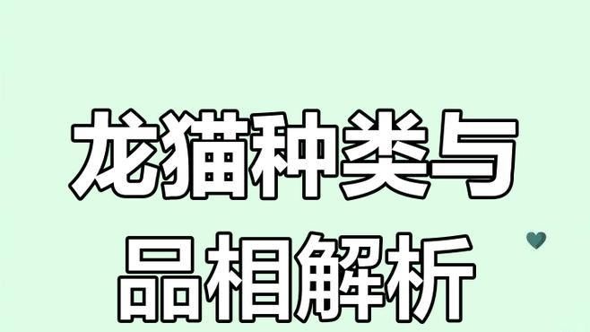如何區分龍貓的稀有品種（蘭利詹瑞與拉普拉塔的特征對比榴香憩云間龍貓品種大揭秘）
