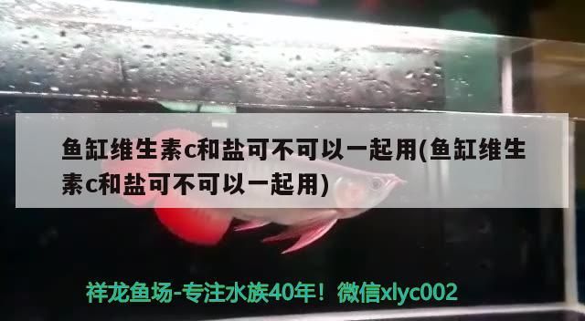 希臘金龍多少錢一條，我剛入的龍魚，是什么品種（希臘金龍魚價格與品種特征）
