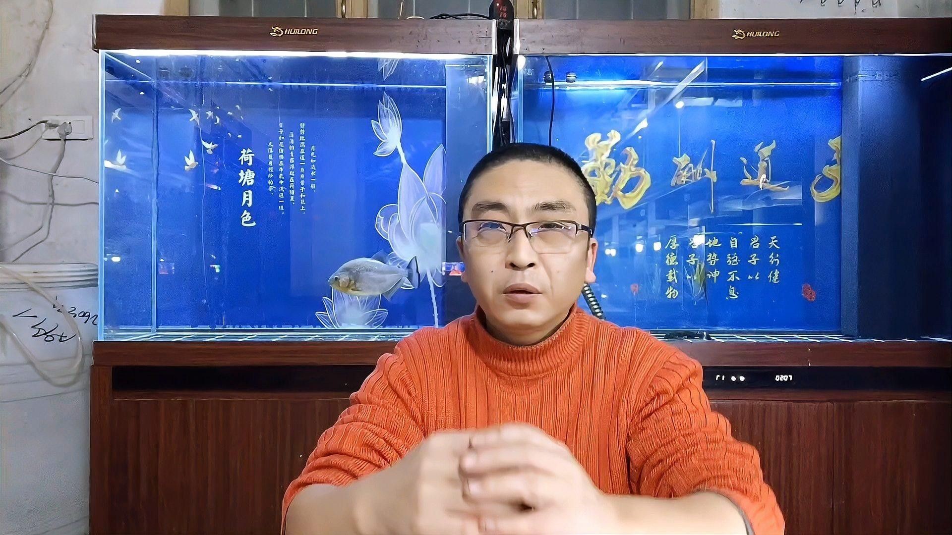 如何設置龍魚缸的物理過濾（如何設置龍魚缸物理過濾系統）