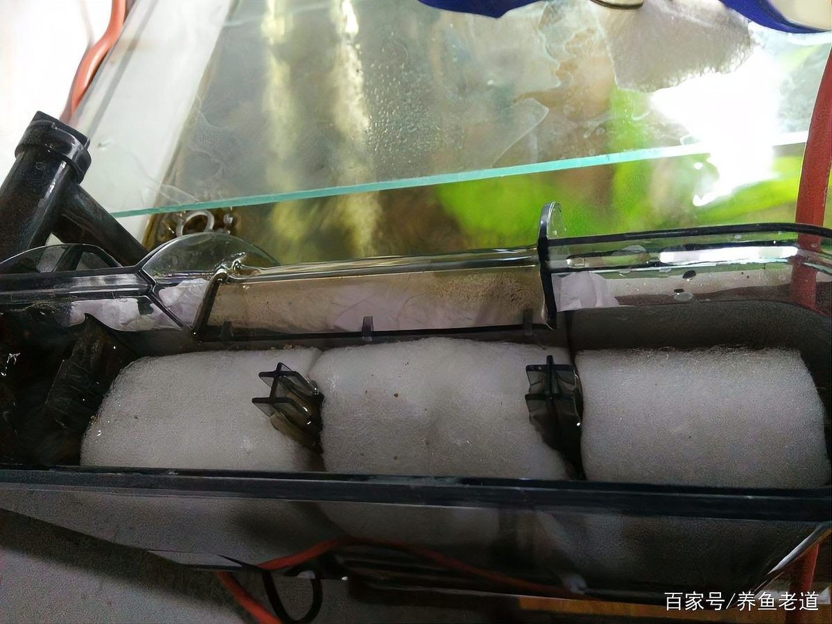 如何設置龍魚缸的物理過濾（如何設置龍魚缸物理過濾系統）