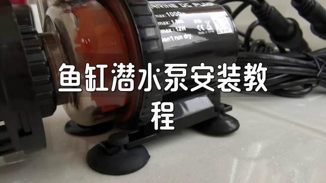 西龍魚缸的水泵安裝步驟（丹東極客vlog魚缸潛水泵安裝步驟及注意事項）