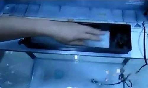 龍魚病的治療方法有哪些？