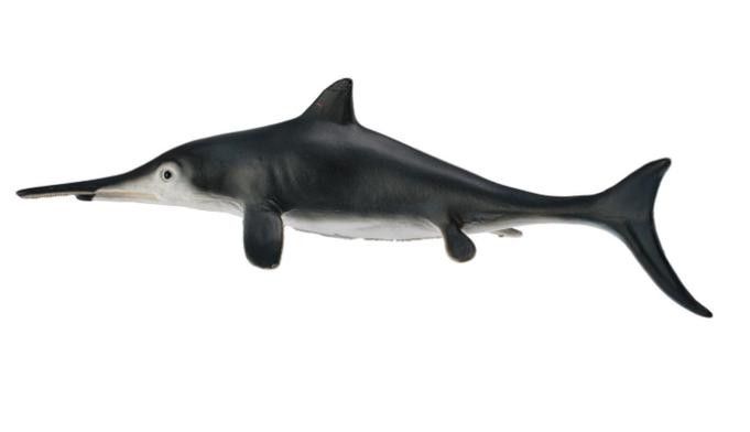 開心水族箱劍龍魚圖鑒（《開心水族箱劍龍魚圖鑒》）