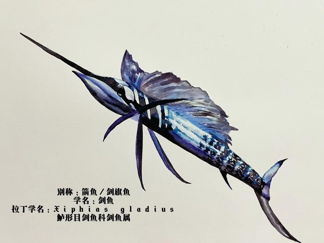 開心水族箱劍龍魚圖鑒（《開心水族箱劍龍魚圖鑒》）