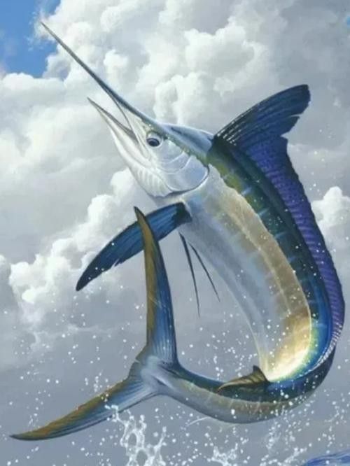 開心水族箱劍龍魚圖鑒（《開心水族箱劍龍魚圖鑒》）