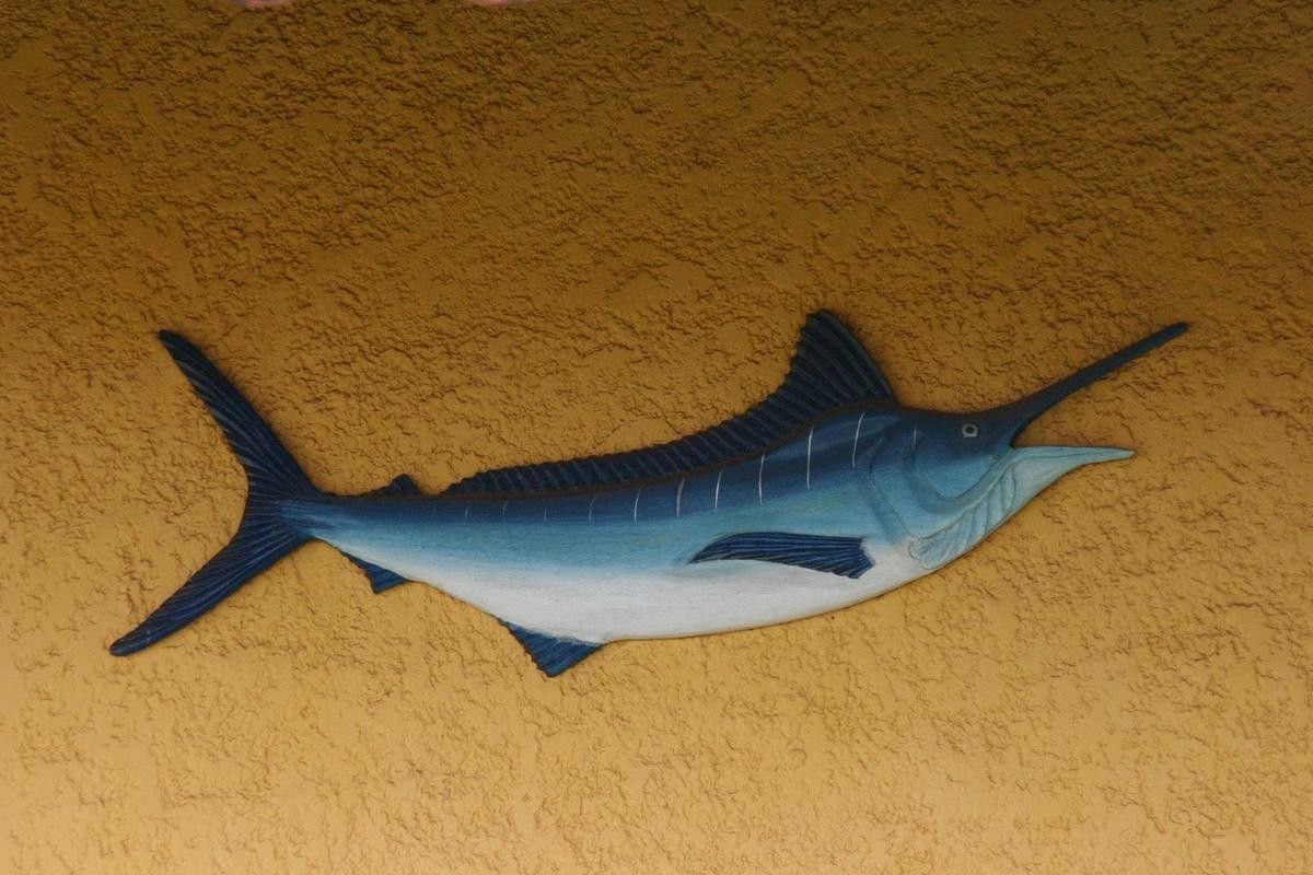 開心水族箱劍龍魚圖鑒（《開心水族箱劍龍魚圖鑒》）