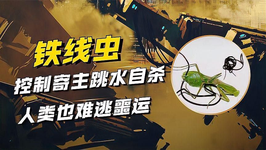 如何消毒昆蟲類活餌，避免細菌感染