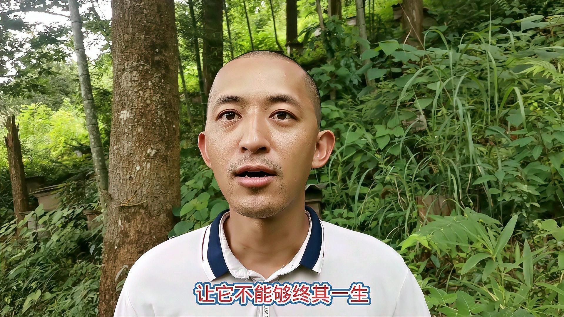 如何消毒昆蟲類活餌，避免細菌感染