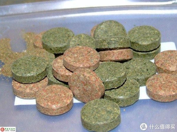 自制紅龍魚飼料需要哪些工具（自制紅龍魚飼料的具體步驟） 自制紅龍魚飼料需要哪些工具（自制紅龍魚飼料的具體步驟） 龍魚百科 第3張