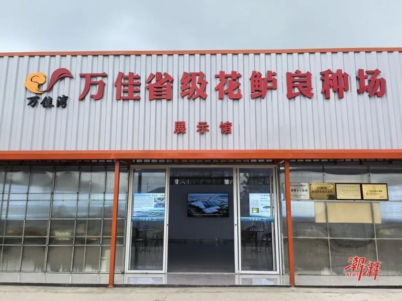 如何聯系潮州金龍魚供銷商（如何通過官方網站聯系到潮州金龍魚供銷商？） 如何聯系潮州金龍魚供銷商（如何通過官方網站聯系到潮州金龍魚供銷商？） 龍魚百科 第2張