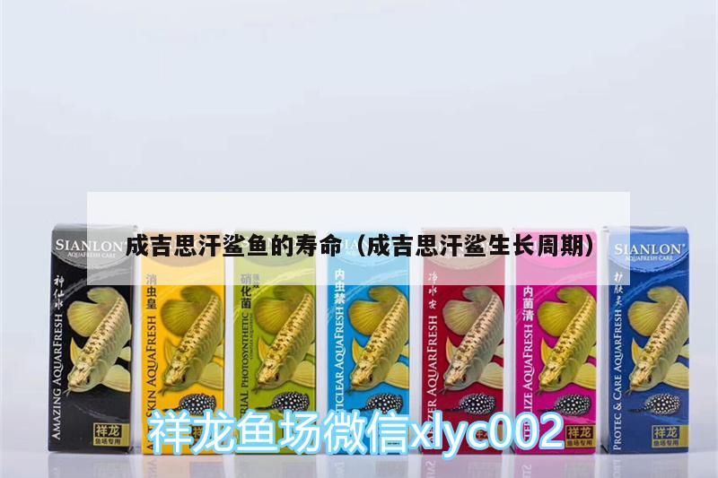 成吉思汗鯊魚的壽命（成吉思汗鯊生長周期）（成吉思汗魚的養殖方法）