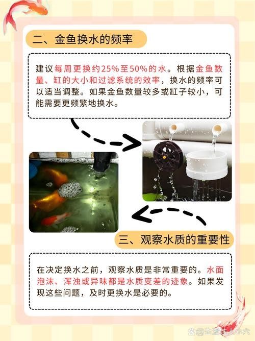 金龍魚反垢后如何護理？（金龍魚反垢后正確的護理方法至關(guān)重要，需要徹底清潔魚缸）