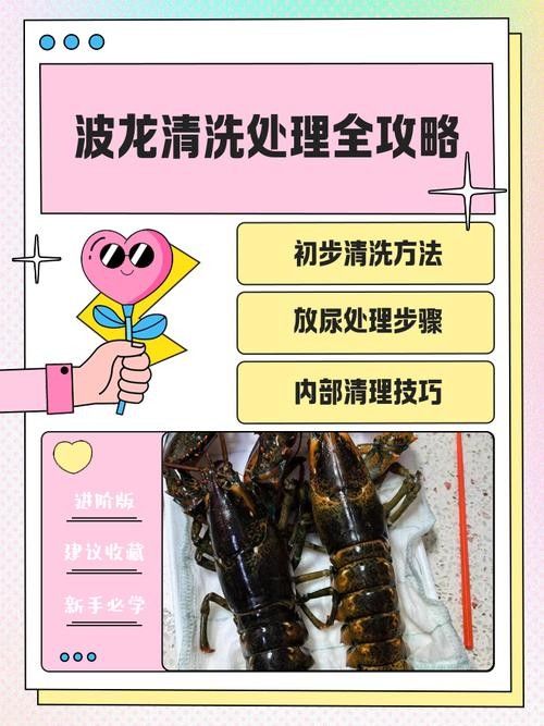 金龍魚反垢后如何護理？（金龍魚反垢后正確的護理方法至關(guān)重要，需要徹底清潔魚缸）