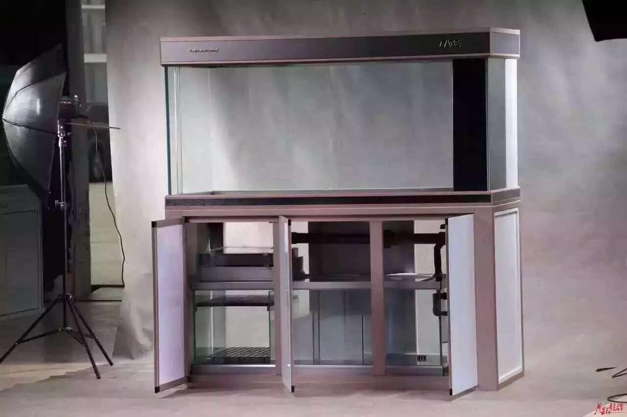 金晶超白玻璃龍缸 觀賞魚百科 第1張 金晶超白玻璃龍缸 金晶超白玻璃龍缸 觀賞魚百科 第1張