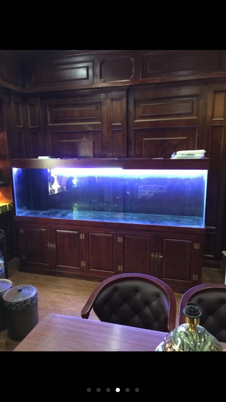 金晶超白玻璃龍缸 觀賞魚百科 第4張 金晶超白玻璃龍缸 金晶超白玻璃龍缸 觀賞魚百科 第4張