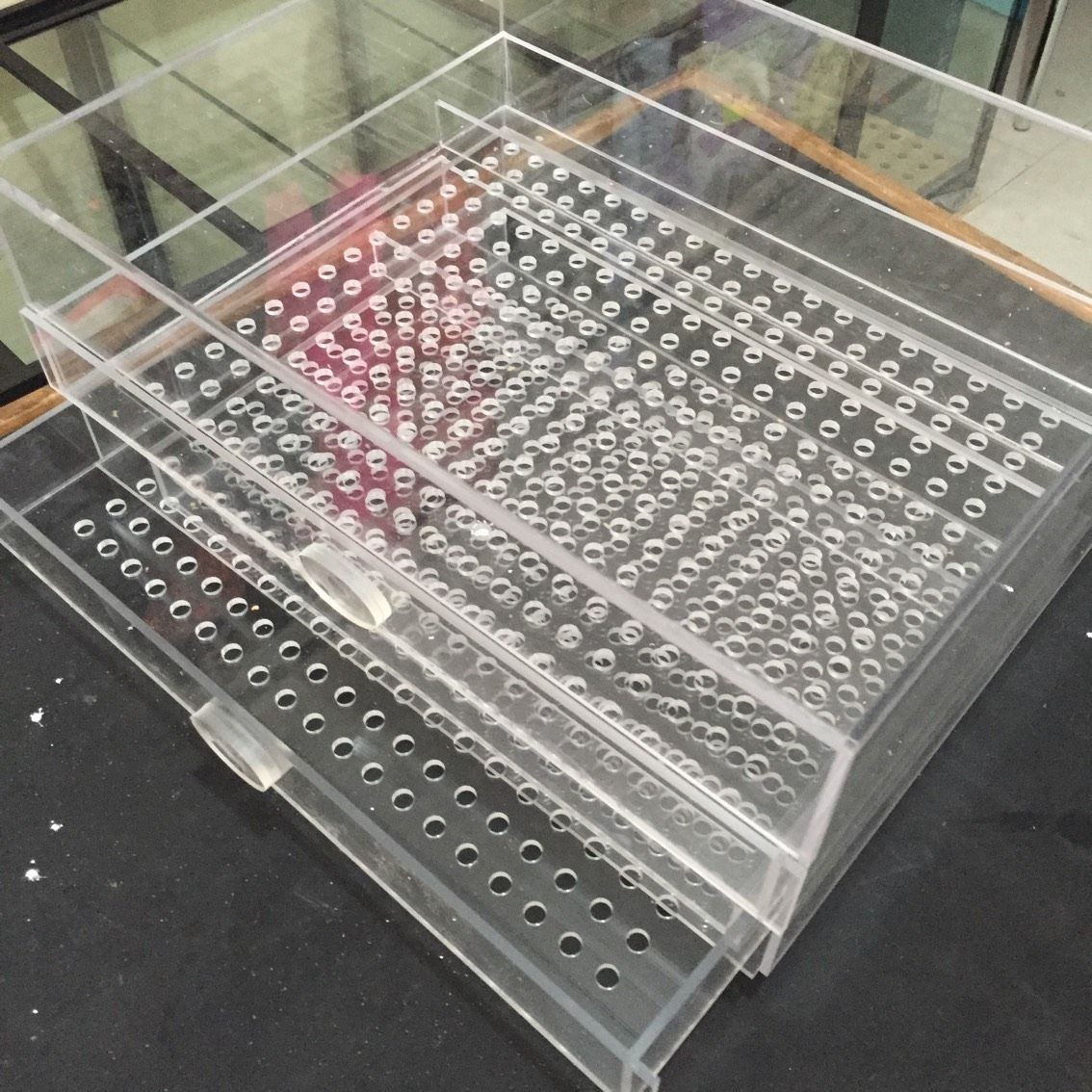 金晶超白玻璃龍缸 觀賞魚百科 第6張 金晶超白玻璃龍缸 金晶超白玻璃龍缸 觀賞魚百科 第6張