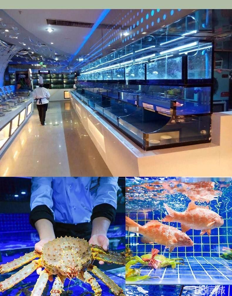 二手紅龍魚轉讓平臺有哪些（二手紅龍魚轉讓平臺） 二手紅龍魚轉讓平臺有哪些（二手紅龍魚轉讓平臺） 龍魚百科 第2張
