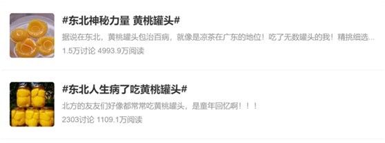 如何正確使用欖仁葉（欖仁葉的正確使用方法）