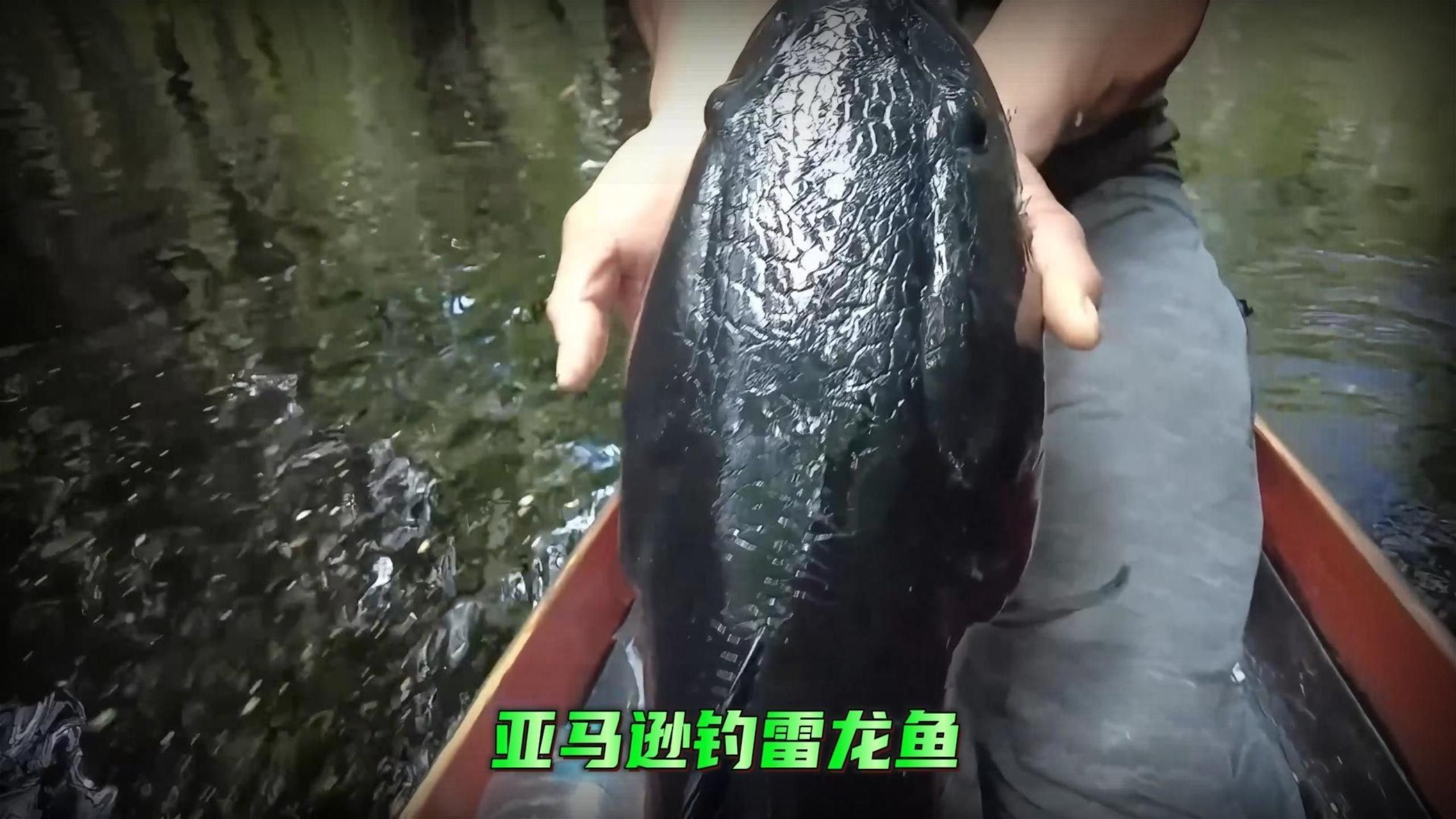 雷龍魚的最佳釣季（雷龍魚最佳釣季及對應策略）