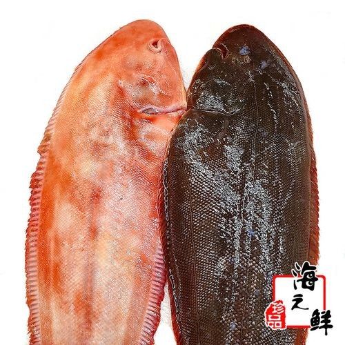 丹東金龍魚的主要產品有哪些（東金龍魚食品有限公司） 丹東金龍魚的主要產品有哪些（東金龍魚食品有限公司） 龍魚百科 第7張
