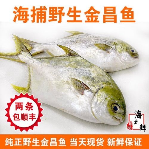 丹東金龍魚的主要產品有哪些（東金龍魚食品有限公司） 丹東金龍魚的主要產品有哪些（東金龍魚食品有限公司） 龍魚百科 第8張