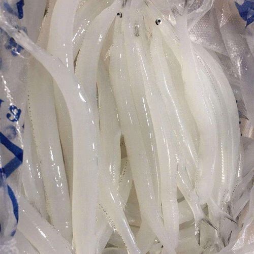 丹東金龍魚的主要產品有哪些（東金龍魚食品有限公司） 丹東金龍魚的主要產品有哪些（東金龍魚食品有限公司） 龍魚百科 第12張