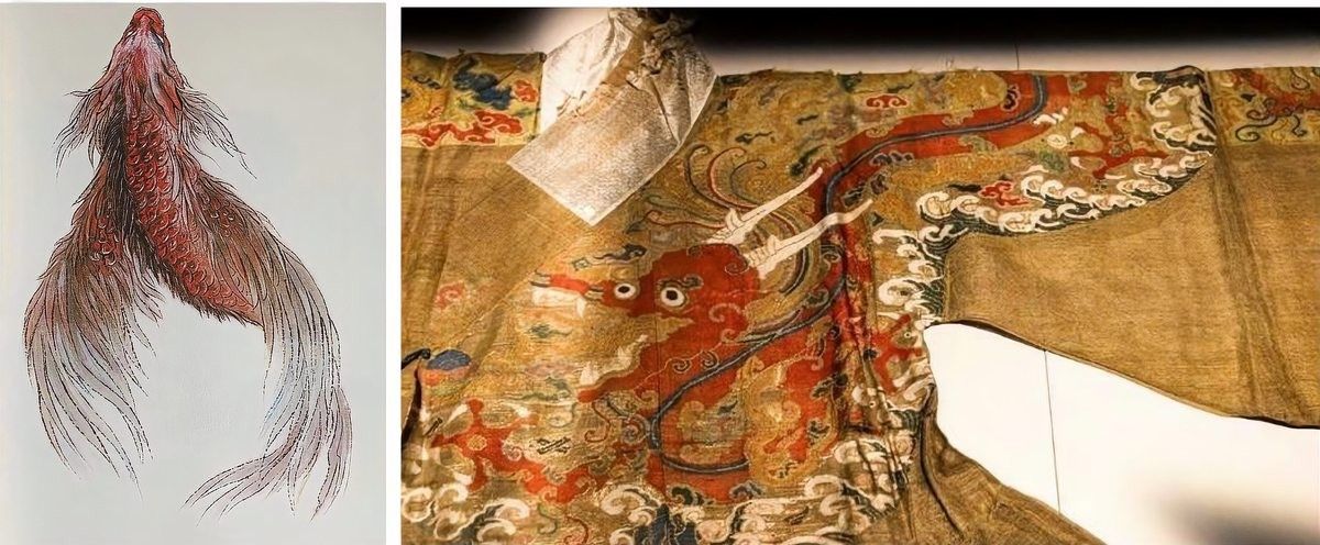 白龍魚服與皇室有何關聯 白龍魚服與皇室有何關聯 龍魚百科 第7張