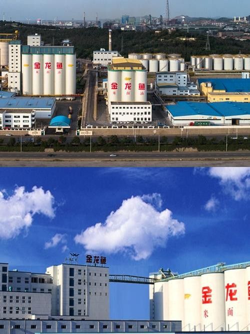 如何聯(lián)系益海嘉里廣州糧油公司？（如何通過官網(wǎng)獲取益海嘉里廣州糧油公司的聯(lián)系方式？） 如何聯(lián)系益海嘉里廣州糧油公司？（如何通過官網(wǎng)獲取益海嘉里廣州糧油公司的聯(lián)系方式？） 龍魚百科 第1張