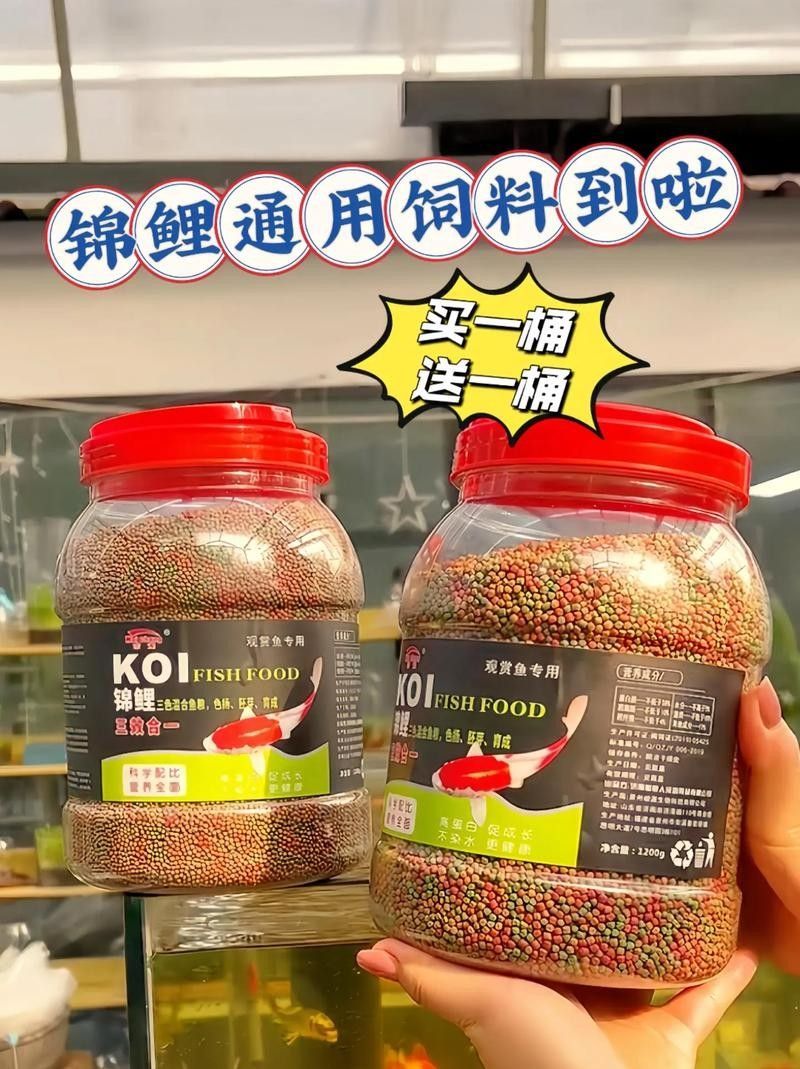 如何挑選健康的飼料魚？