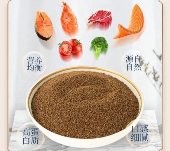 如何挑選健康的飼料魚？