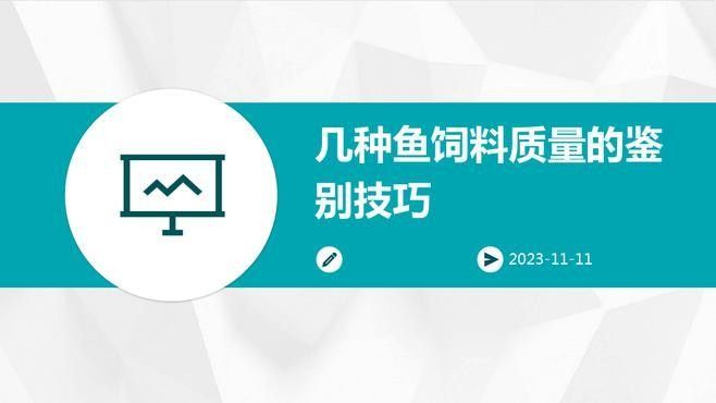 如何挑選健康的飼料魚？