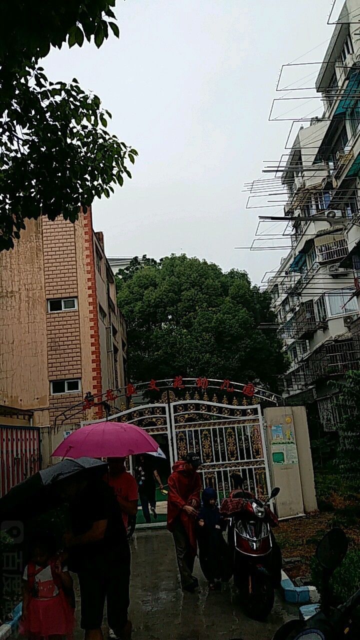 如何聯系上海虹口區小龍魚文苑幼兒園（上海虹口區小龍魚文苑幼兒園如何聯系？） 如何聯系上海虹口區小龍魚文苑幼兒園（上海虹口區小龍魚文苑幼兒園如何聯系？） 龍魚百科 第1張
