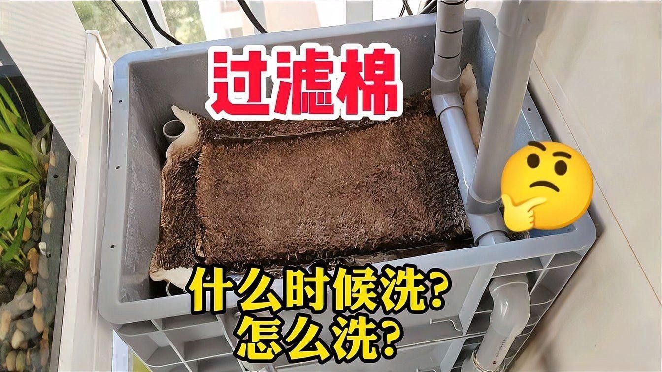 如何判斷過濾棉是否需要清洗（如何判斷魚缸過濾棉是否需要清洗）