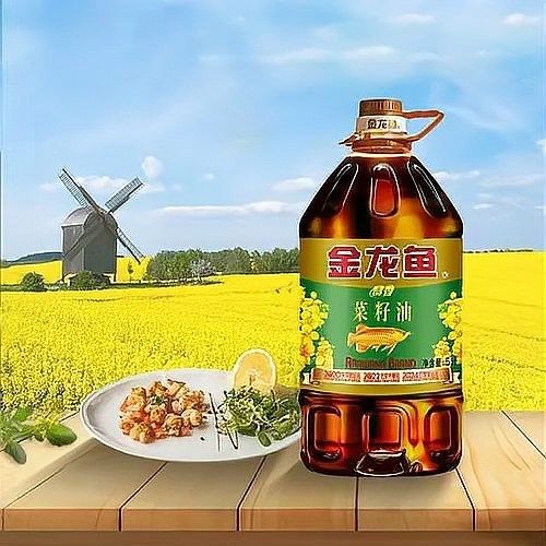 郭孔豐如何整合全球資源？（郭孔豐談“一帶一路”華僑合作） 郭孔豐如何整合全球資源？（郭孔豐談“一帶一路”華僑合作） 龍魚百科 第1張