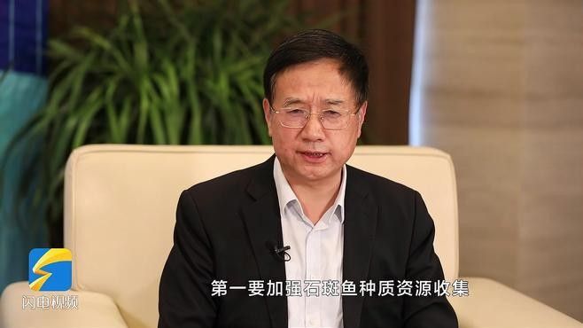 古典藍(lán)底和改良型藍(lán)底的繁殖差異（古典藍(lán)底與改良型藍(lán)底在繁殖過程中存在的差異） 古典藍(lán)底和改良型藍(lán)底的繁殖差異（古典藍(lán)底與改良型藍(lán)底在繁殖過程中存在的差異） 龍魚百科 第2張